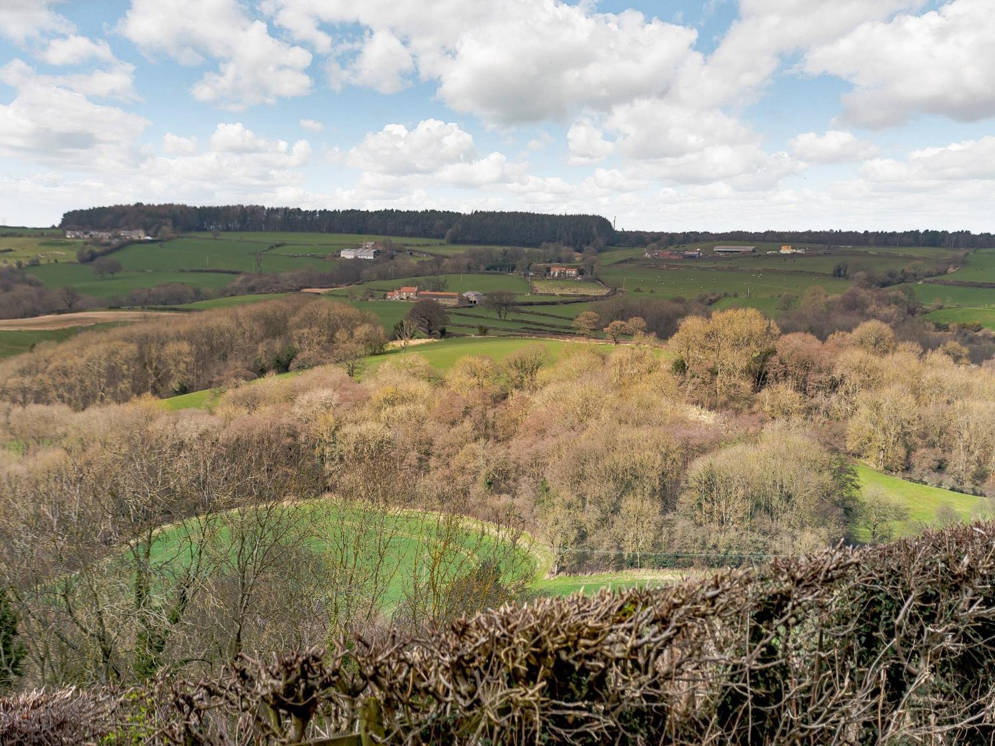Esk Dale View Villa โกรส์มอนต์ ภายนอก รูปภาพ